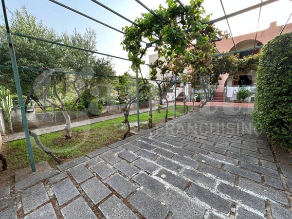 appartamento in vendita a Scalea