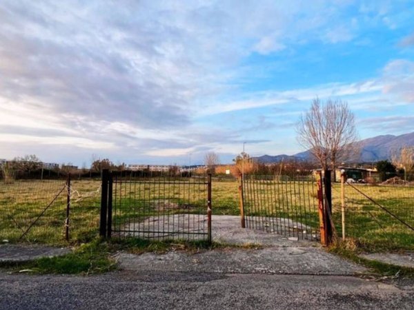 terreno agricolo in vendita a Scalea