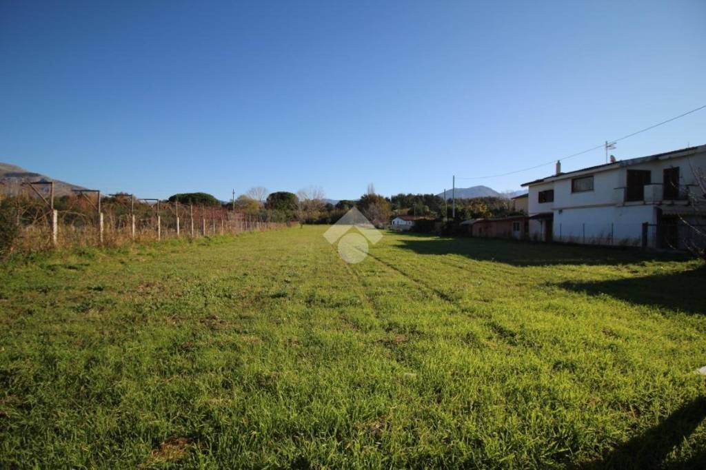 terreno agricolo in vendita a Scalea