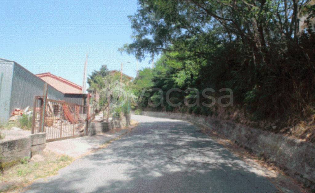 terreno agricolo in vendita a Scigliano in zona Lupia