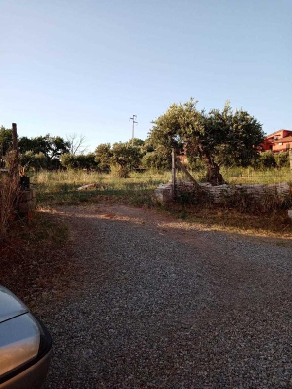 terreno agricolo in vendita a Spezzano Albanese