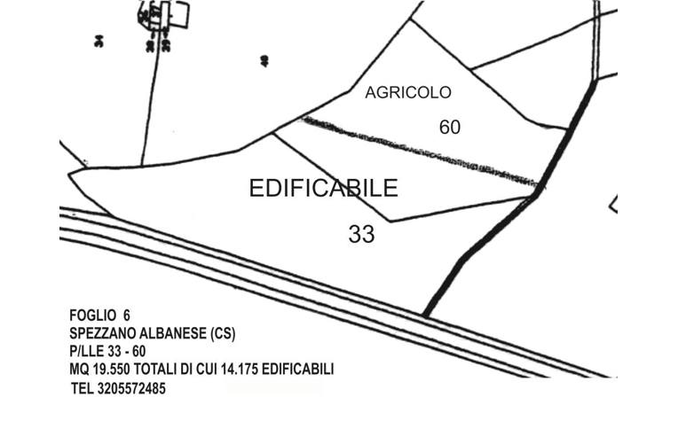 terreno agricolo in vendita a Spezzano Albanese in zona Stazione