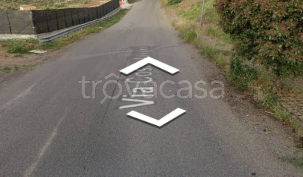 terreno agricolo in vendita a Spezzano Albanese