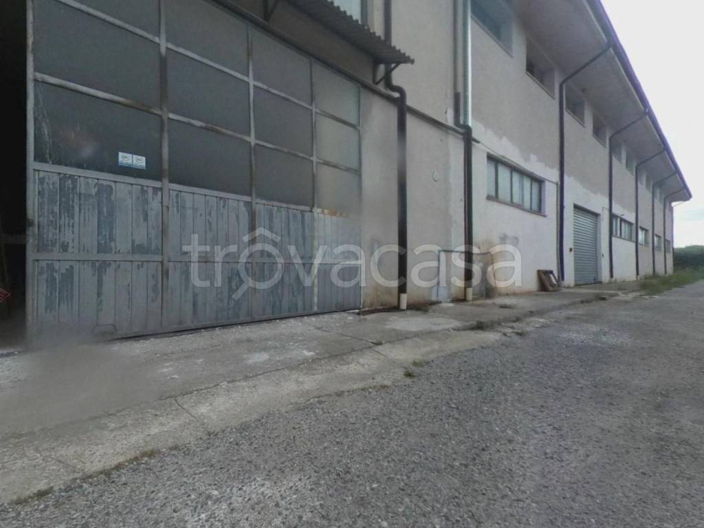 locale commerciale in vendita a Spezzano Albanese