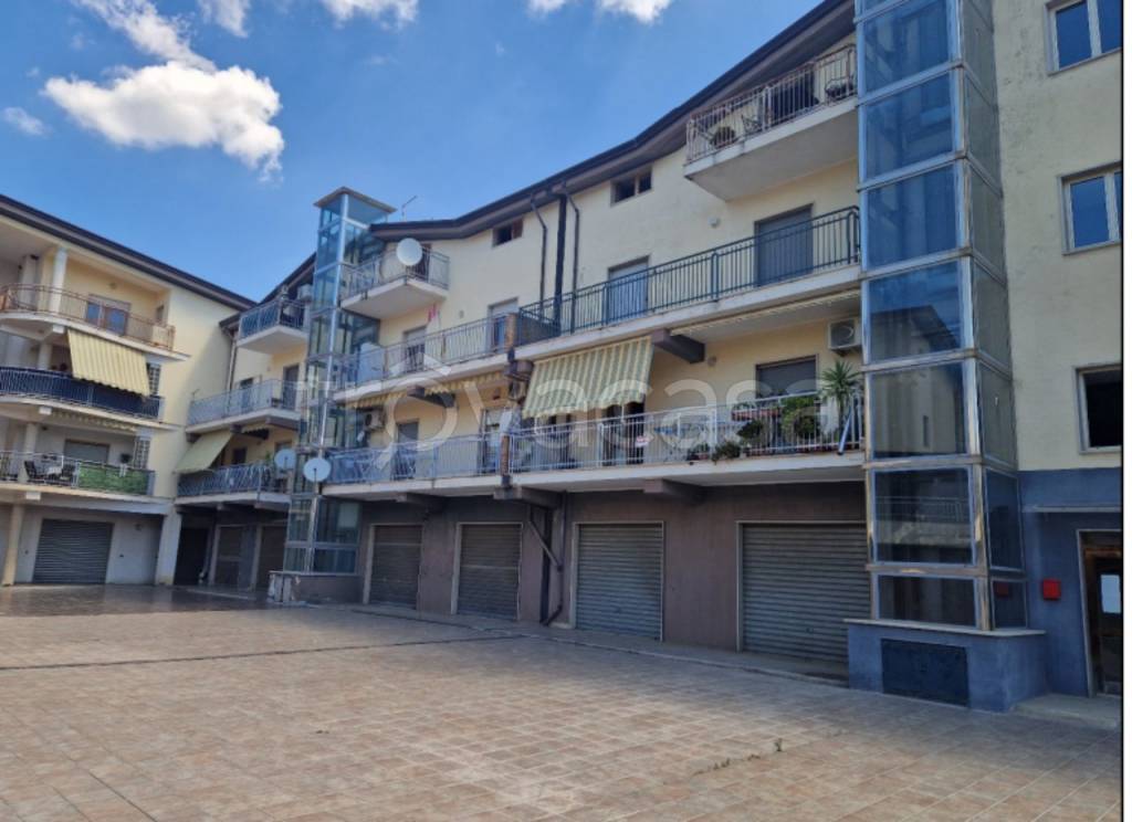 immagine annuncio 0 di 15