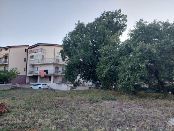 casa indipendente in vendita a Spezzano Albanese