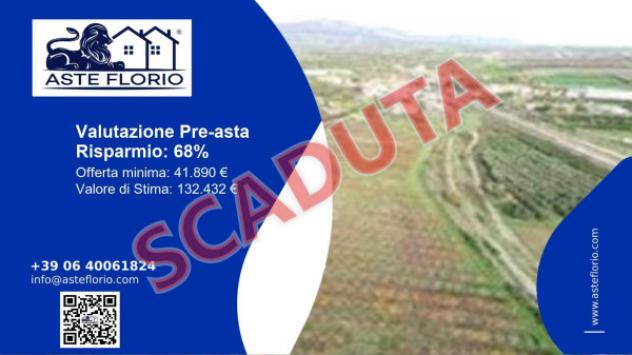 terreno agricolo in vendita a Spezzano Albanese