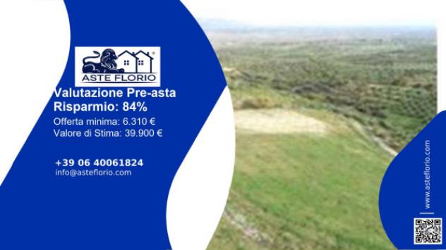 terreno agricolo in vendita a Spezzano Albanese