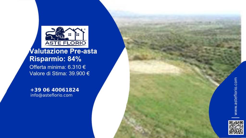 terreno agricolo in vendita a Spezzano Albanese