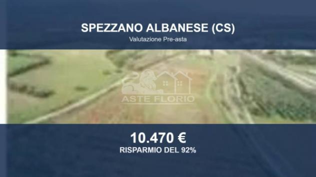 terreno agricolo in vendita a Spezzano Albanese