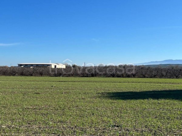 terreno agricolo in vendita a Spezzano Albanese