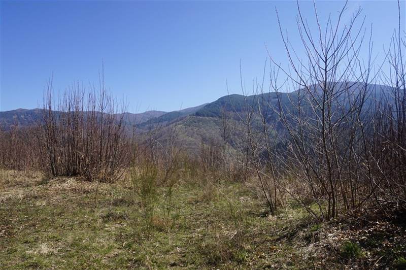 terreno agricolo in vendita a Spezzano della Sila
