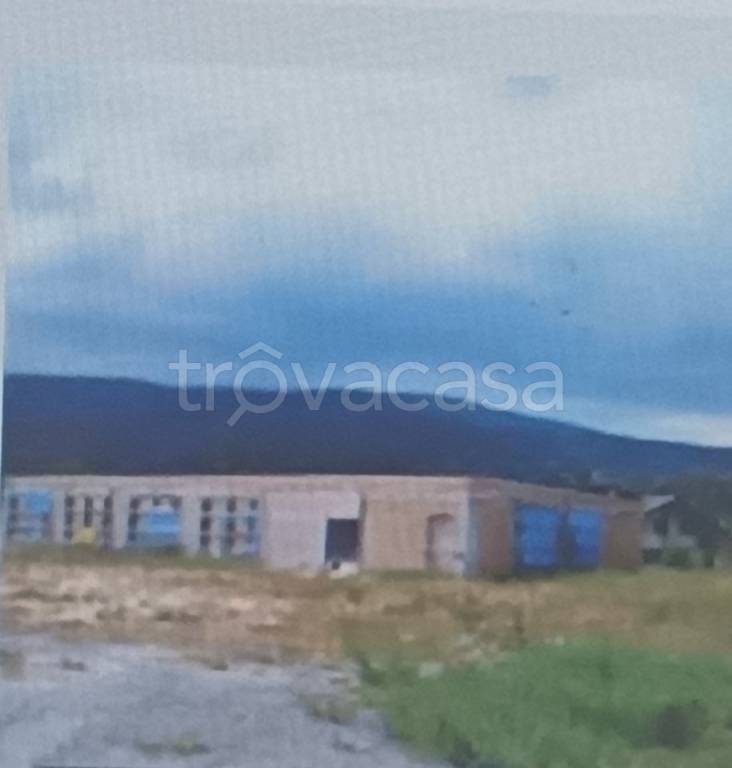 terreno agricolo in vendita a Spezzano della Sila in zona Camigliatello Silano