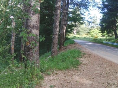 terreno agricolo in vendita a Spezzano della Sila
