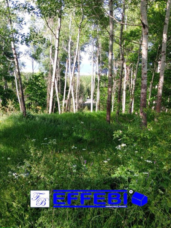 terreno agricolo in vendita a Spezzano della Sila