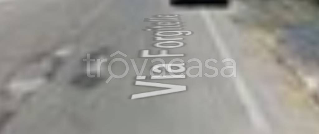 terreno agricolo in vendita a Spezzano della Sila in zona Camigliatello Silano