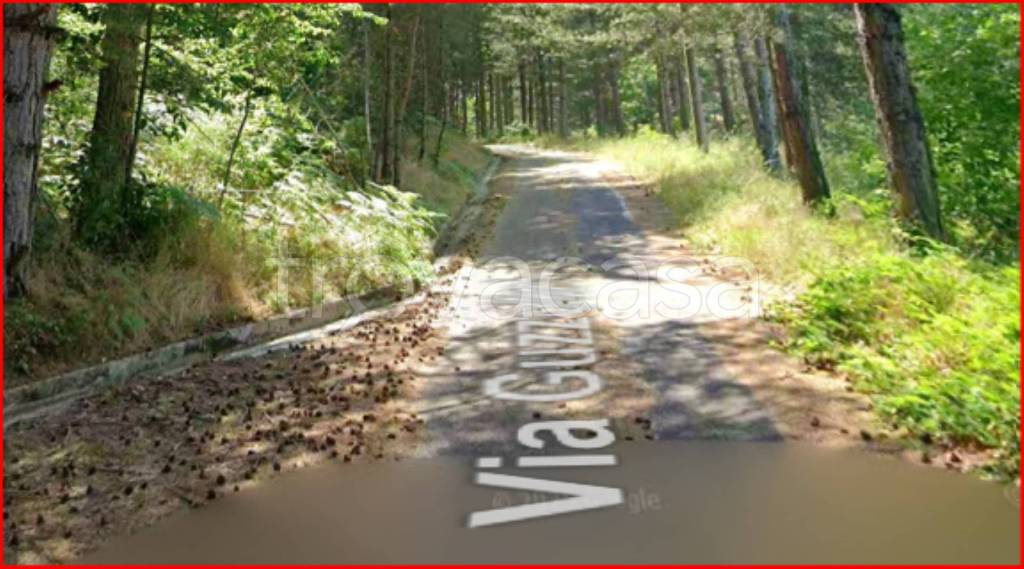 terreno agricolo in vendita a Spezzano della Sila in zona Camigliatello Silano