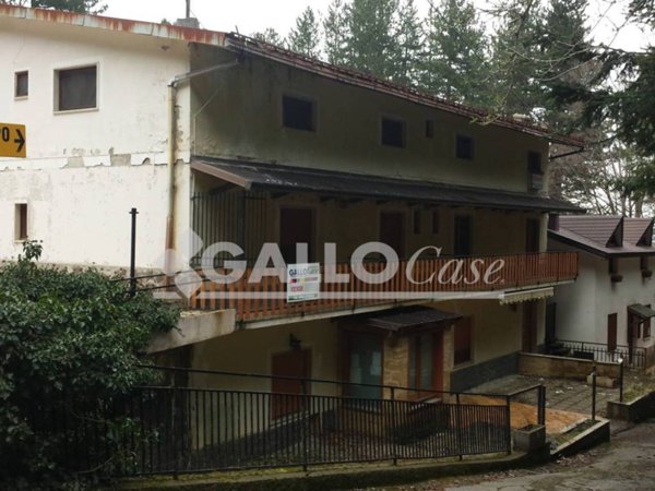 negozio in vendita a Spezzano della Sila in zona Camigliatello Silano