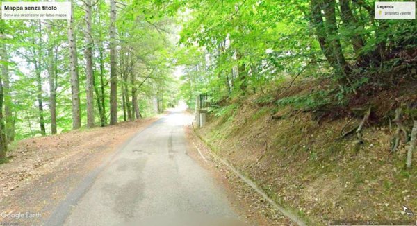 terreno agricolo in vendita a Spezzano della Sila in zona Camigliatello Silano