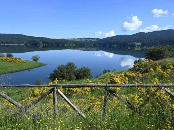terreno agricolo in vendita a Spezzano della Sila in zona Camigliatello Silano