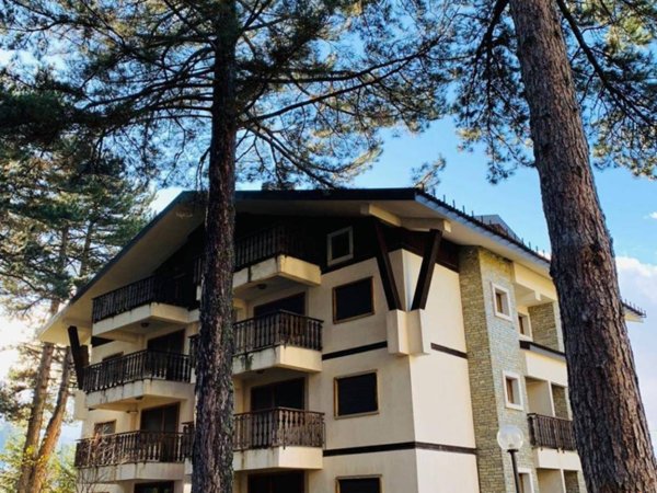 appartamento in vendita a Spezzano della Sila in zona Camigliatello Silano