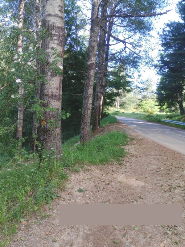 terreno agricolo in vendita a Spezzano della Sila in zona Camigliatello Silano