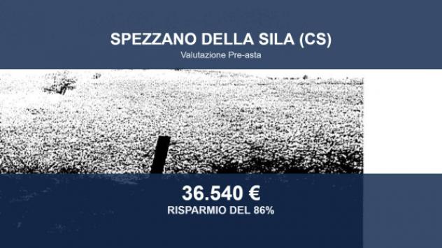 casa indipendente in vendita a Spezzano della Sila