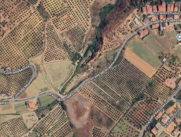 casa indipendente in vendita a Terranova da Sibari