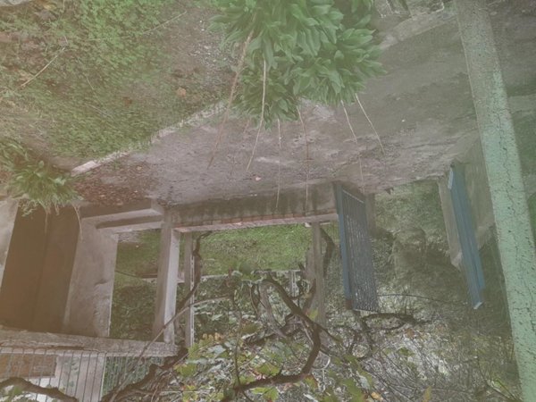 trivano in vendita a Terranova da Sibari