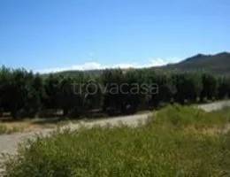 ufficio in vendita a Terranova da Sibari