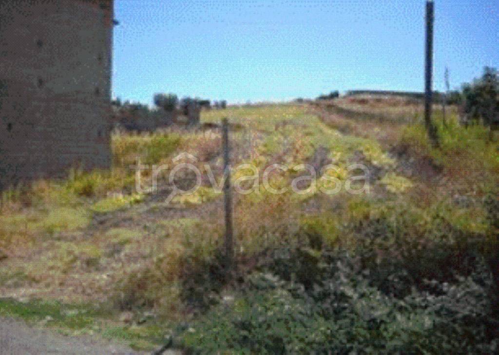 terreno agricolo in vendita a Terranova da Sibari