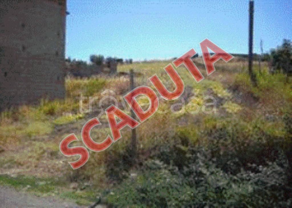 terreno agricolo in vendita a Terranova da Sibari