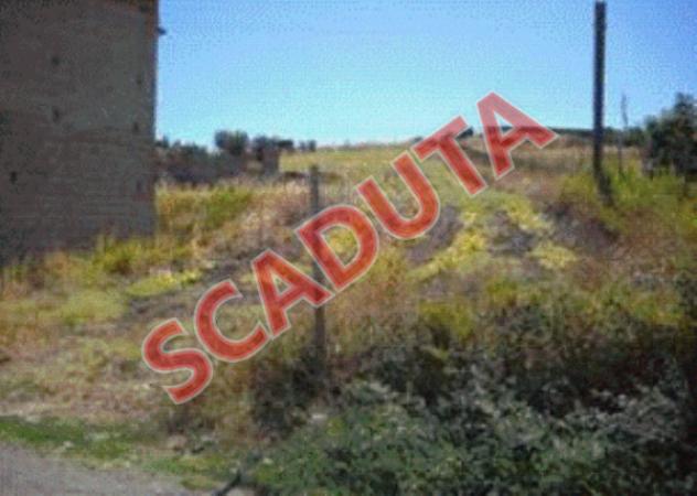 terreno agricolo in vendita a Terranova da Sibari