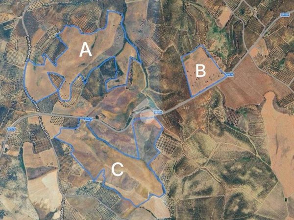 terreno agricolo in vendita a Terranova da Sibari