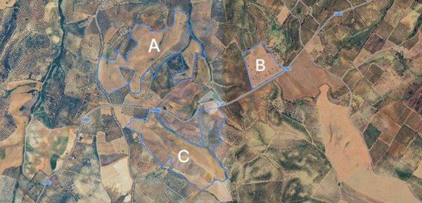 terreno agricolo in vendita a Terranova da Sibari