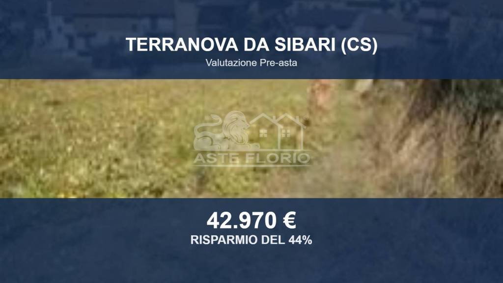 terreno agricolo in vendita a Terranova da Sibari