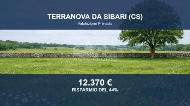 terreno agricolo in vendita a Terranova da Sibari