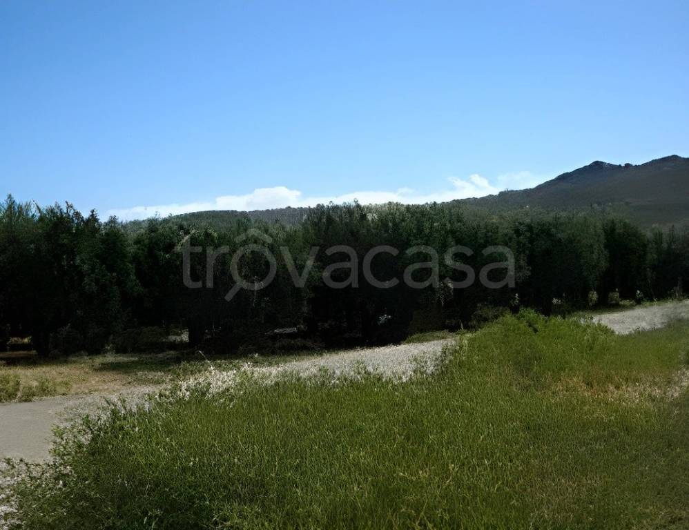 ufficio in vendita a Terranova da Sibari
