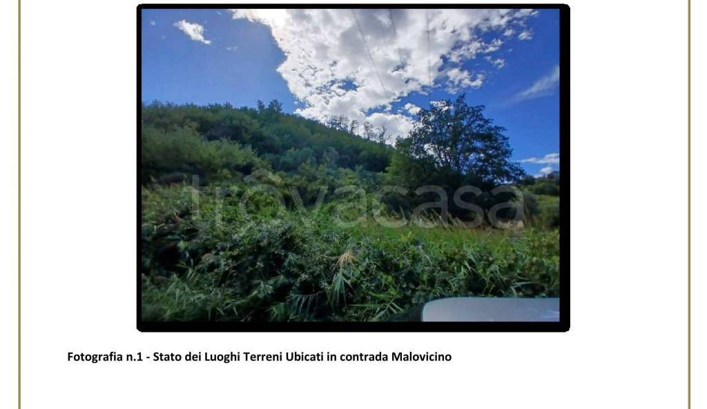 terreno agricolo in vendita a Torano Castello