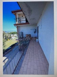 immagine annuncio 0 di 15