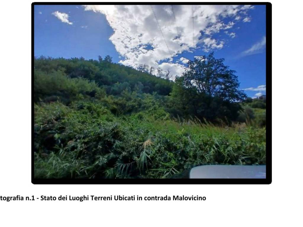 immagine annuncio 0 di 4