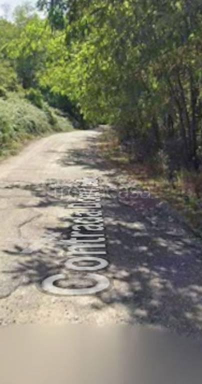 terreno agricolo in vendita a Torano Castello