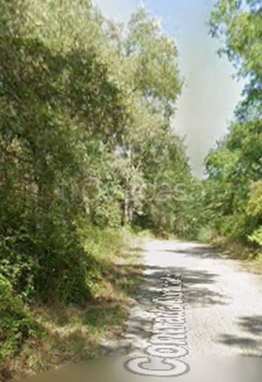 terreno agricolo in vendita a Torano Castello