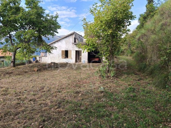terreno agricolo in vendita a Tortora