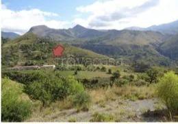 terreno agricolo in vendita a Tortora