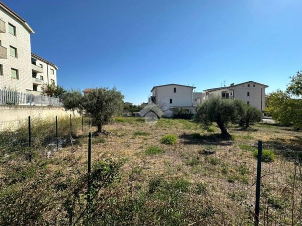 terreno agricolo in vendita a Trebisacce