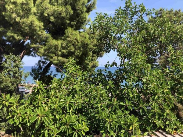 casa indipendente in vendita a Trebisacce