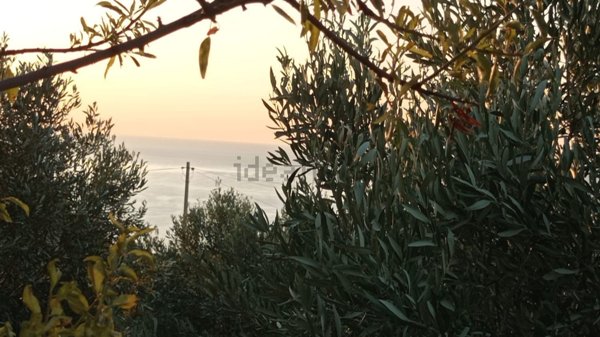 terreno edificabile in vendita a Trebisacce