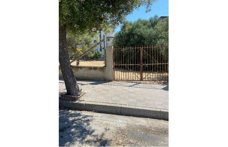 terreno agricolo in vendita a Trebisacce