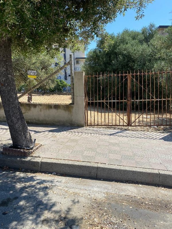 terreno agricolo in vendita a Trebisacce